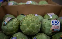Monterey County: 2025 Artichoke Festival canceled without plans to return amid financial strain